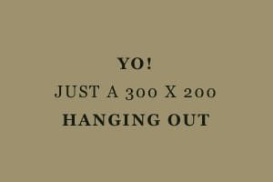 Image Alignment 300x200