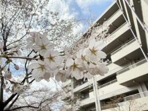 陶芸教室のご案内 | 住宅型有料老人ホーム ギャラリー杜の音